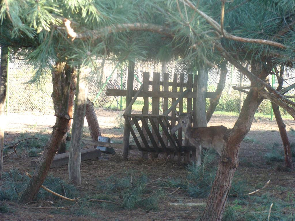 Gospodarstwo Agroturystyczne Ania I Filip Izabelin  Bagian luar foto